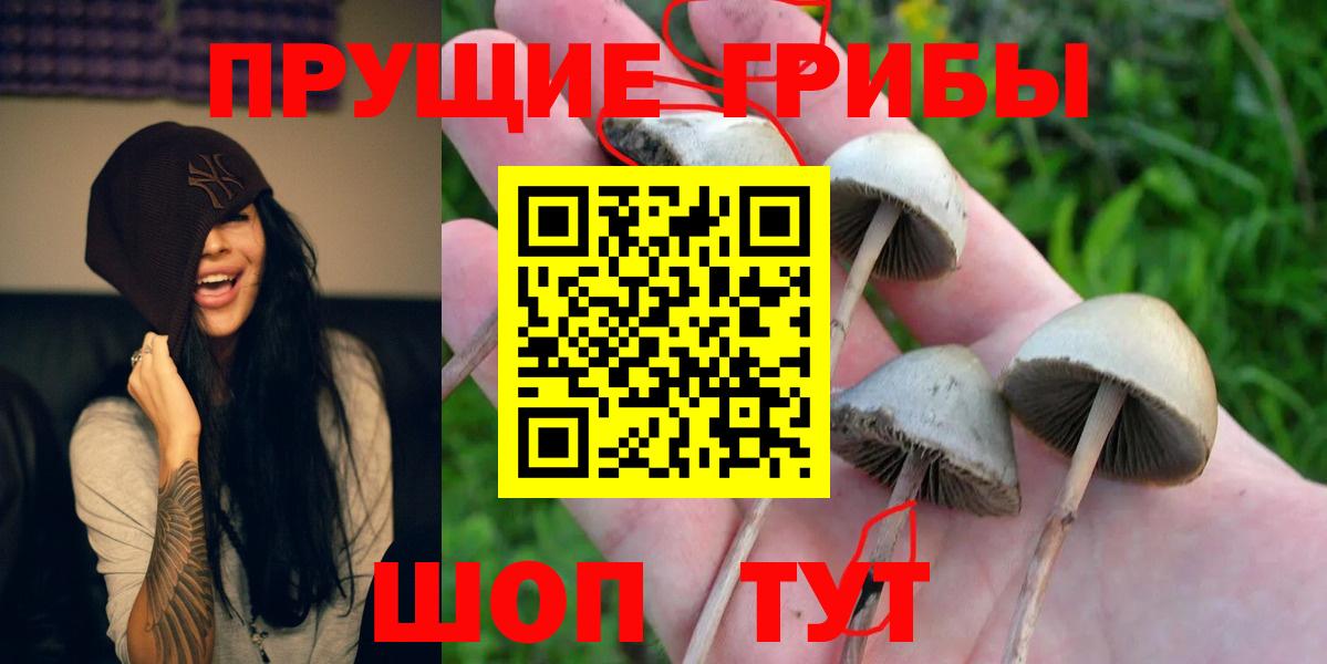 Псилоцибиновые грибы MAGIC MUSHROOMS Всеволожск